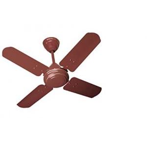 Havells 600 mm  Speedster Brown High Speed Ceiling Fan