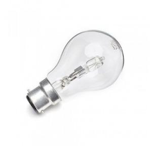 Surya Bulb B-22 Base, 60 W