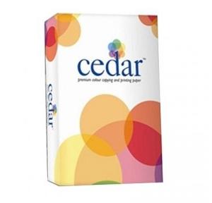 JK Cedar A3 Copier Paper, 100 GSM, 500 Sheets