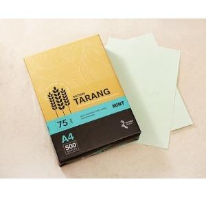 Ruchira Tarang A4 Colored Copier Paper, 75 GSM, 500 Sheets (Mint)