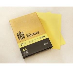 Ruchira Tarang A4 Colored Copier Paper, 75 GSM, 500 Sheets (Lemon)