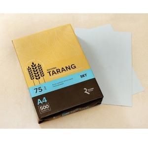 Ruchira Tarang A4 Colored Copier Paper, 75 GSM, 500 Sheets (Sky)