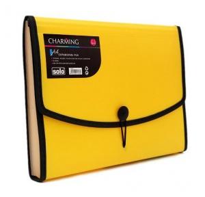 Solo EX802 Expanding File (Elastic With Swing) - 12 Section, Size: A4