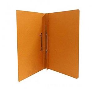 Flat Spring File A4 size