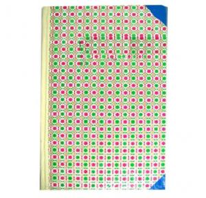 Naina Ruled Register 3QR (210 Pages)