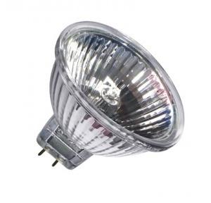 Halogen Bulb 50W, 240V