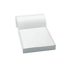 Continuous Computer Paper Sheet White, 10x12 Inch (1000 Sheets)