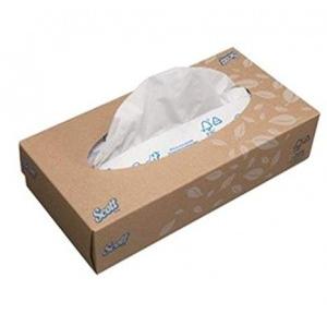 Kimberly Clark Scott 2 Ply Facial Tissue Box, 16x21cm, 100 Sheets, 1120