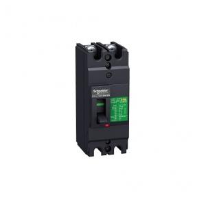 Schneider MCCB With Fixed TMD EasyPact EZC 63A 2Pole 50 kA, EZC100H2063