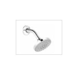 Kohler Rain Duet Raduet Single Function Organic Showerhead With Shower Arm Chrome Polished, K-23657IN-CP