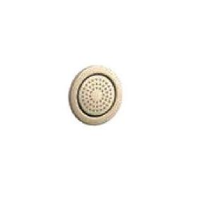 Kohler  Round 54-Nozzle Bodyspray In French Gold, K-8014IN-AF