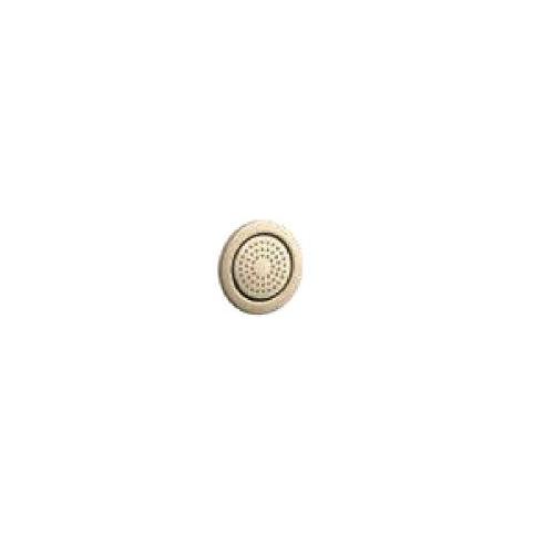 Kohler  Round 54-Nozzle Bodyspray In French Gold, K-8014IN-AF