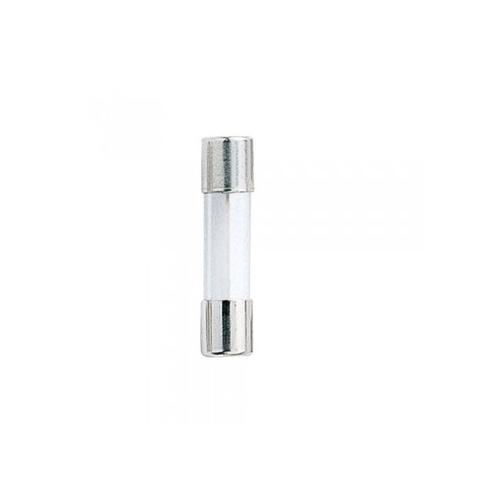 Glass Fuse 15A 125V/250V