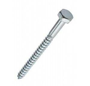 Coach Screw 10mm