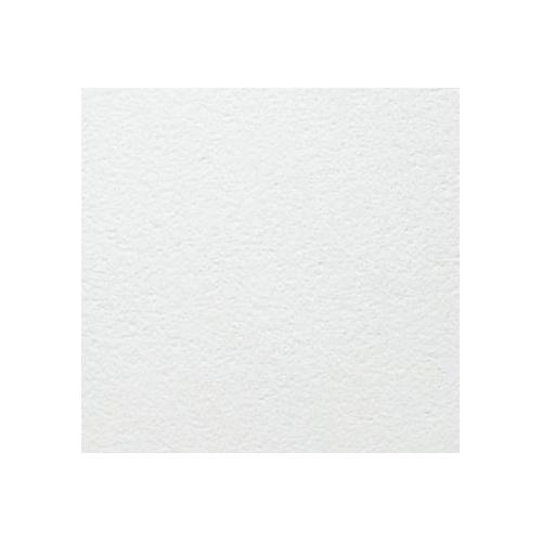 Armstrong Ceiling Tile BP5188 Bioguard Acoustic 99RH Edge Tegular 24 NRC 0.70 Ligh Reflectance 88% 600x600x19 mm 5x8x19 mm White