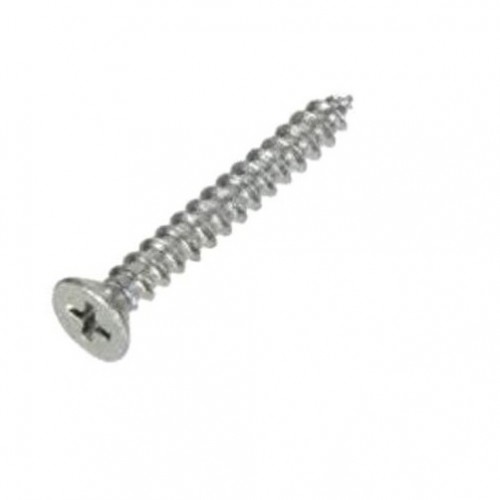 SS Self Tapping Screw Pan Phillips 10x125 Inch (Pack of 100)