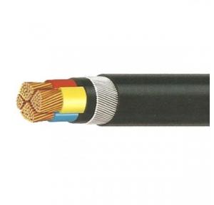 Polycab Copper Armoured Cable XLPE Insulated 2XWY/2XFY 4 Sqmm 2 Core, 1mtr