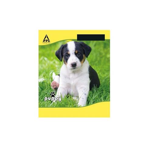 Ruled Notepad Single Line Soft Bound Small, 72 Pages