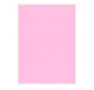 Max Color Copier Paper A3 75 GSM, 500 Sheets (Pink)
