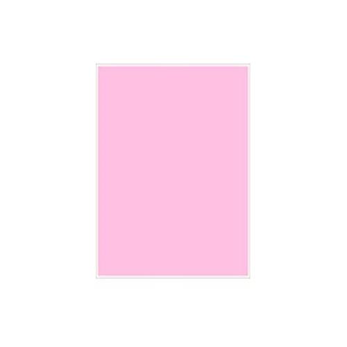 Max Color Copier Paper A4 Size 75 GSM, 500 Sheets (Pink)