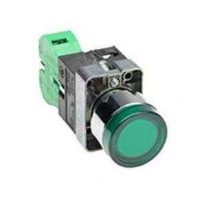 C&S Indicator Lamp Push Type NO-NC Block (Green)