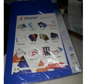 Securex Clear Display Book A4, 30 Pockets