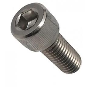 Cap Screw SS, 1 Inch