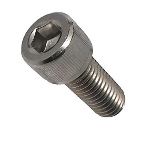 Cap Screw SS, 1 Inch