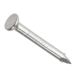 Concrete Nail 2 Inch, 1 Kg