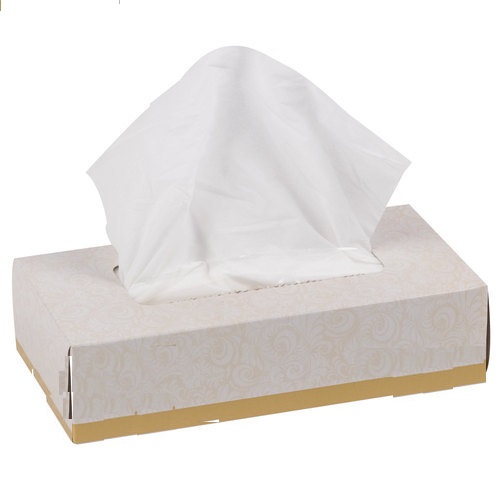 Facial Tissue Box 100 Pulls x 2 Ply