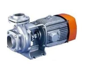 Kirlosker Domestic Monoblock Pump GMC 128, 25x25mm (1.02 HP)