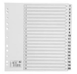 File Separator Set 1-20 Plastic