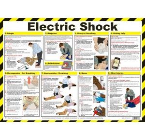 Usha Armour Electrical Shock Treatment Chart With  Wooden Lamination 24x36 Inch