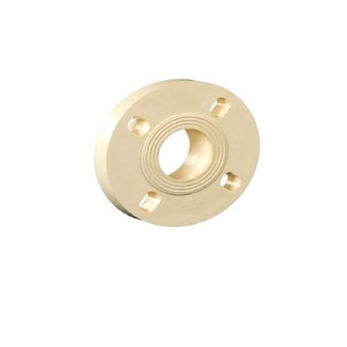 Ashirvad Flowguard Plus CPVC Flange with Gasket - End Cap Open 1 Inch 70000642