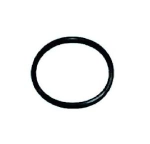 Ashirvad Flowguard Plus CPVC Rubber Washer - FAPT 50001702 2 Inch 50001702