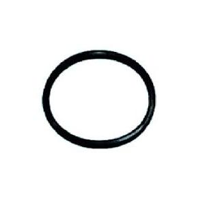 Ashirvad Flowguard Plus CPVC Rubber Washer - FAPT 50001701 1Â½ Inch 50001701