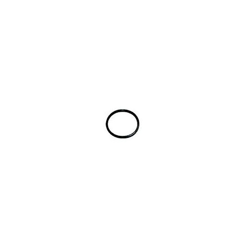 Ashirvad Rubber Washer - FAPT 50001698 Flowguard Plus CPVC 3/4 Inch