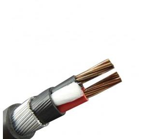 Polycab 1.5 sqmm 2 Core Copper FRLS Armoured Cable, Red, 1 Mtr