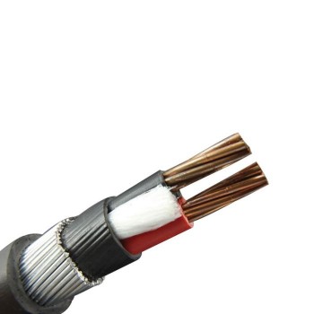 Polycab 1.5 sqmm 2 Core Copper FRLS Armoured Cable, Red, 1 Mtr