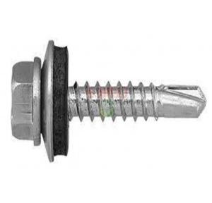 Self Thread Screw 1/2 Inch (Pack of 1000 Pcs)