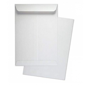 White Envelope 100 Gsm  Size -A4 ( Pack of 10 )