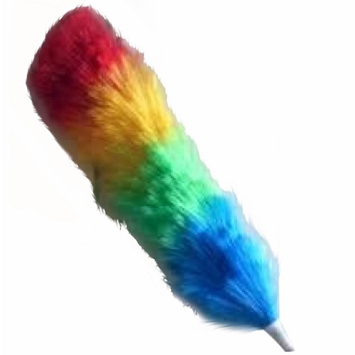 Unique Feather Brush