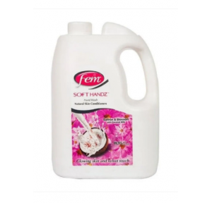 Fem Hand Wash 5 litre