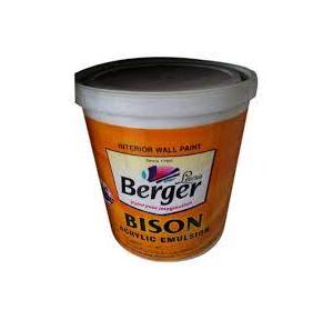 Berger Plastic Emulsion Paint White For Wall-Bison Acrylic 20 Ltr