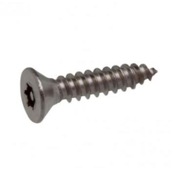 Star Screw 1 Inch 3mm