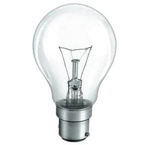 Surya Light Bulb 100W B22 GLS