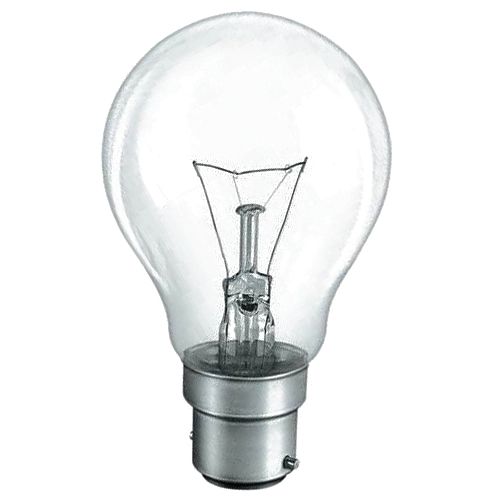 Surya Light Bulb 100W B22 GLS