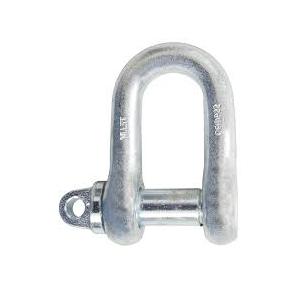  D shackle 3Ton with Test Certificate