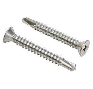 Self Drilling Screw SS 1 Inch (Pack of 1000 Pcs)