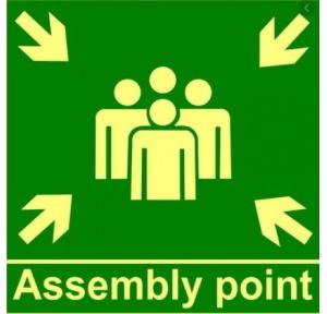 Assembly Area Signage ( With Radium ), Size: 24 x 12 Inch